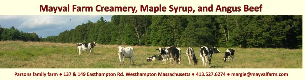 maple syrup and cows at Mayval Farm